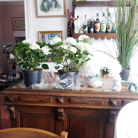 Les Marronniers Bed & Breakfast La Chapelle-sous-Brancion Dış mekan fotoğraf