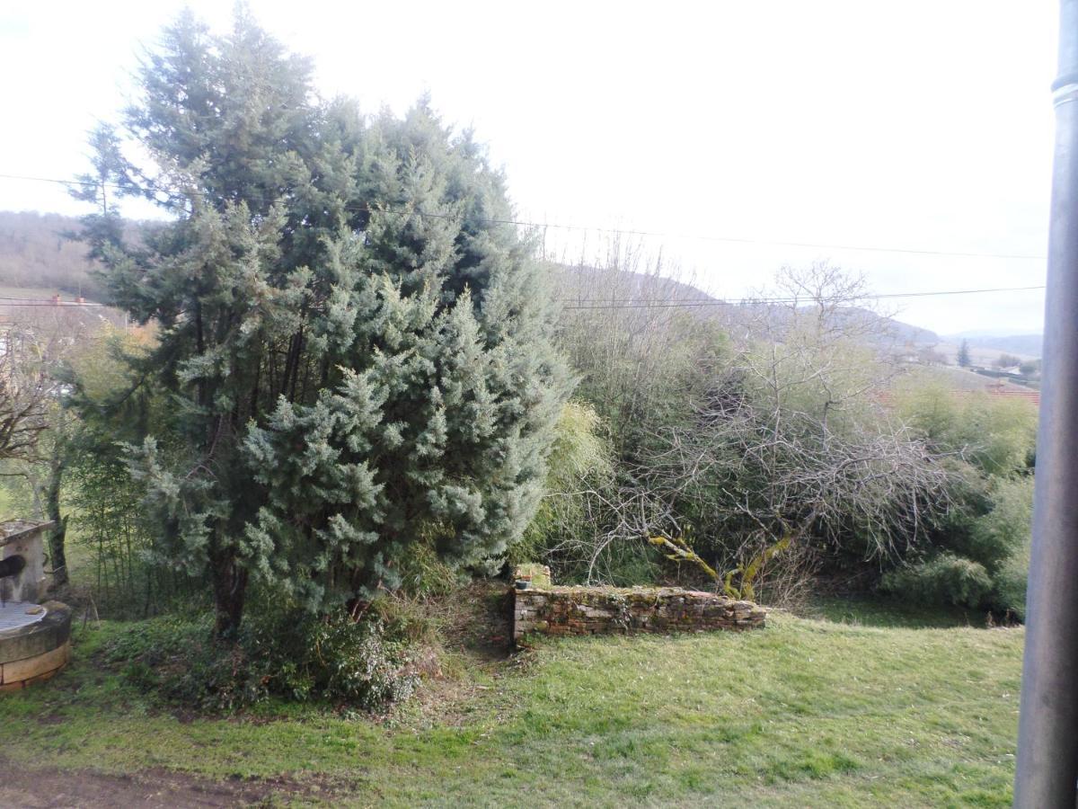 Les Marronniers Bed & Breakfast La Chapelle-sous-Brancion Dış mekan fotoğraf