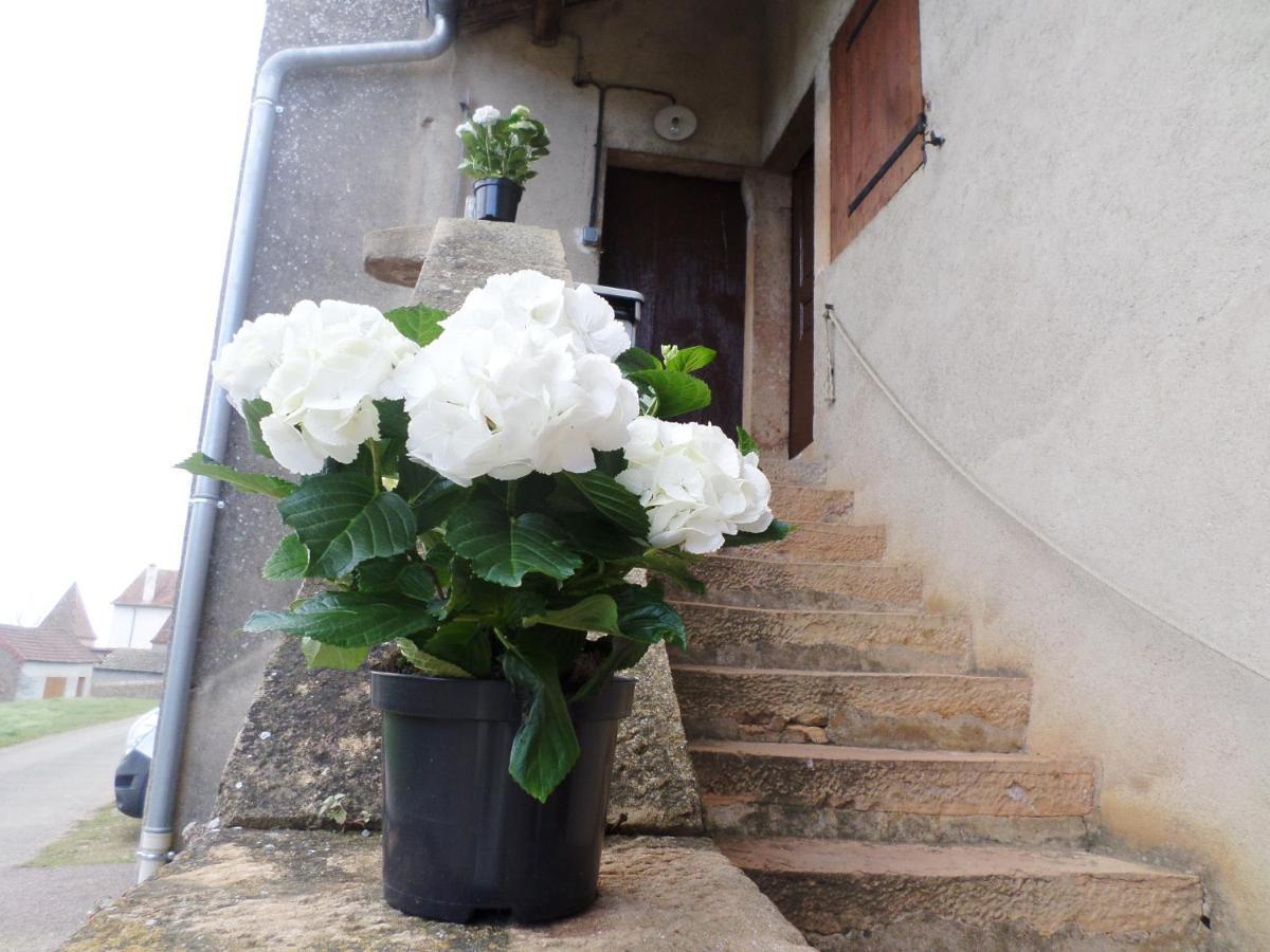 Les Marronniers Bed & Breakfast La Chapelle-sous-Brancion Dış mekan fotoğraf